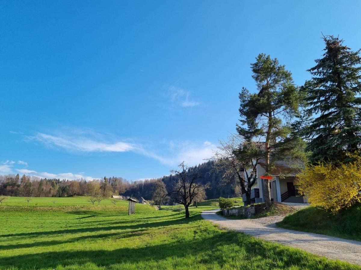 M&M Apartment Zgornje Gorje Exterior foto